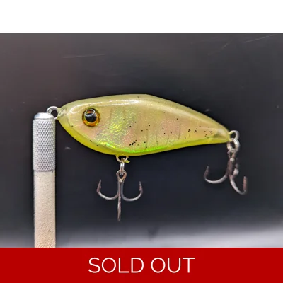 Mud Minnow